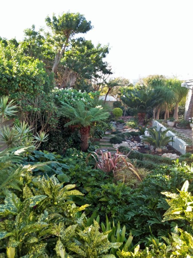 Plettenberg Bay Lagoon Stay מראה חיצוני תמונה
